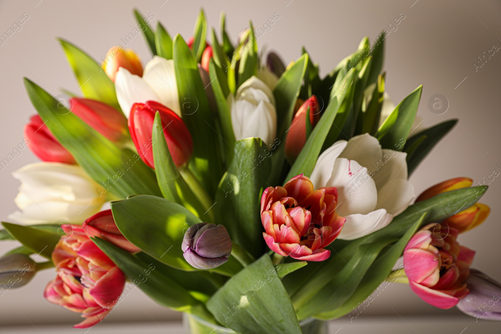 Photo of Beautiful bouquet of colorful tulips on beige background, closeup