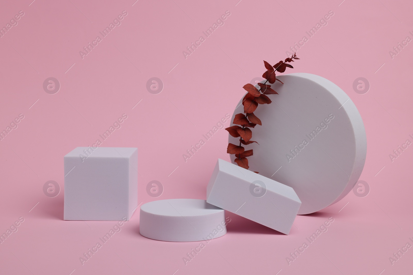 Photo of Scene for product presentation. Podiums of different geometric shapes and dry eucalyptus on light pink background