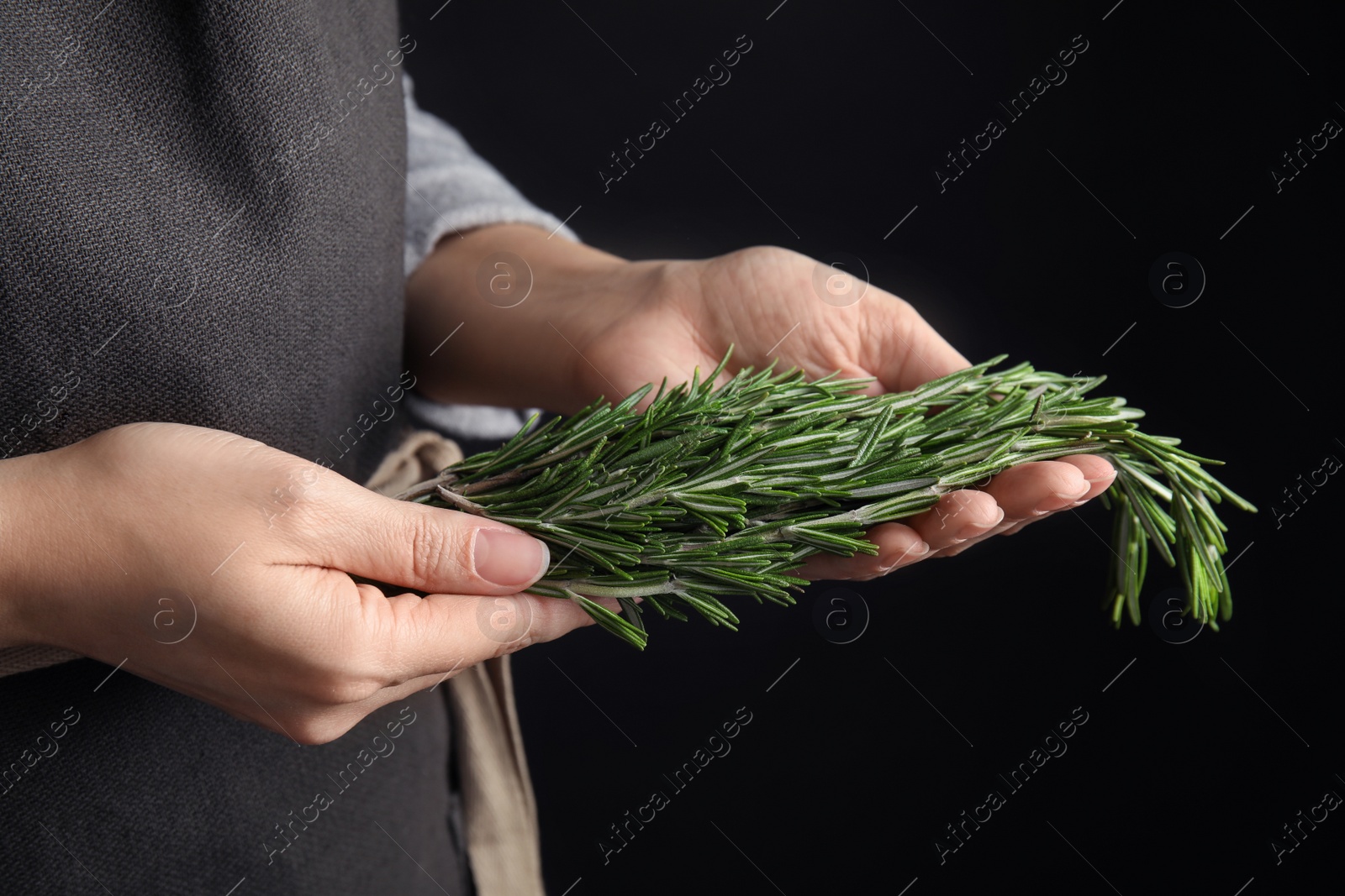 Photo of Woman holding fresh rosemary twigs on black background, closeup