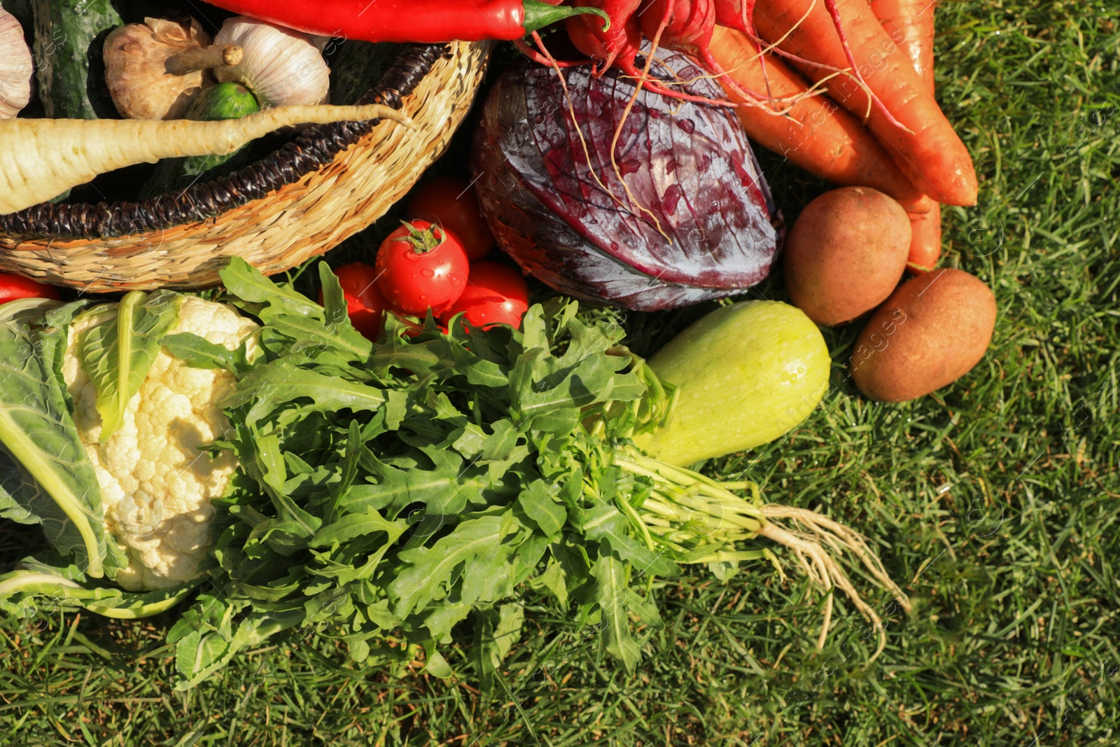 Photo of Different fresh ripe vegetables on green grass, flat lay