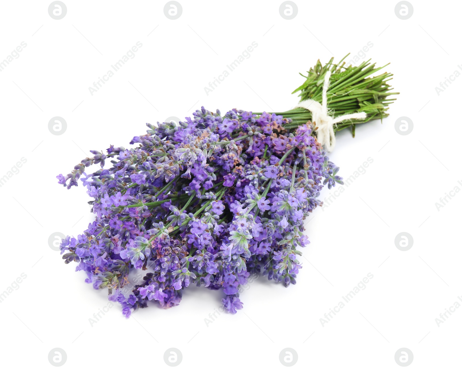 Photo of Bouquet of beautiful lavender flowers isolated on white