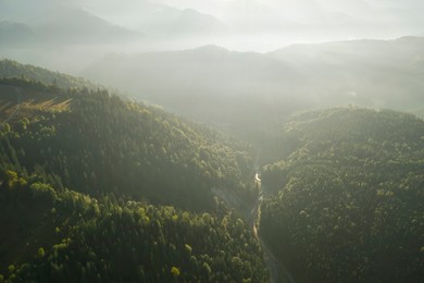 Image of Aerial view of green trees and road in mountains on sunny day. Drone photography