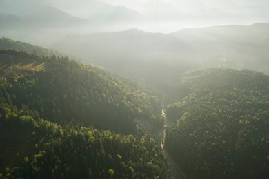 Aerial view of green trees and road in mountains on sunny day. Drone photography