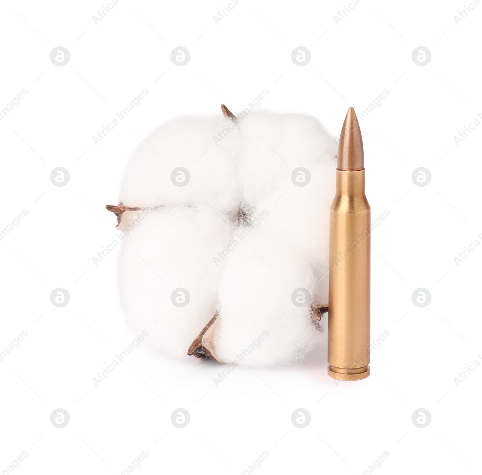 Photo of Bullet and beautiful cotton flower isolated on white