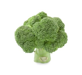 Fresh raw green broccoli isolated on white