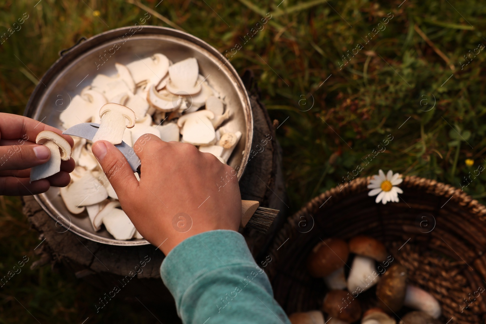 Photo of Man slicing freshly picked mushrooms outdoors, closeup