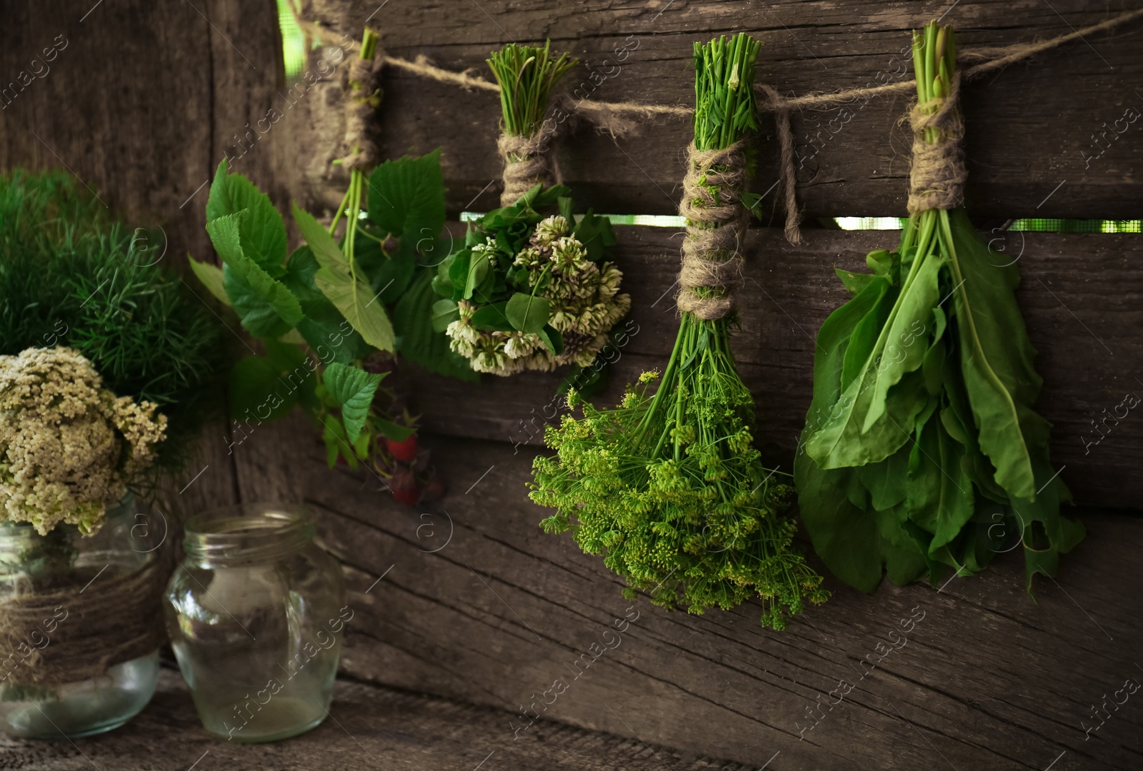 Photo of Bunches of different beautiful dried flowers hanging on rope near wooden wall