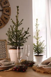 Photo of Small potted fir trees in dining room. Interior design