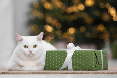 Photo of Christmas atmosphere. Adorable cat with gift box on carpet in cosy room