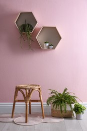 Photo of Stylish room interior with wooden stool and plants near pink wall