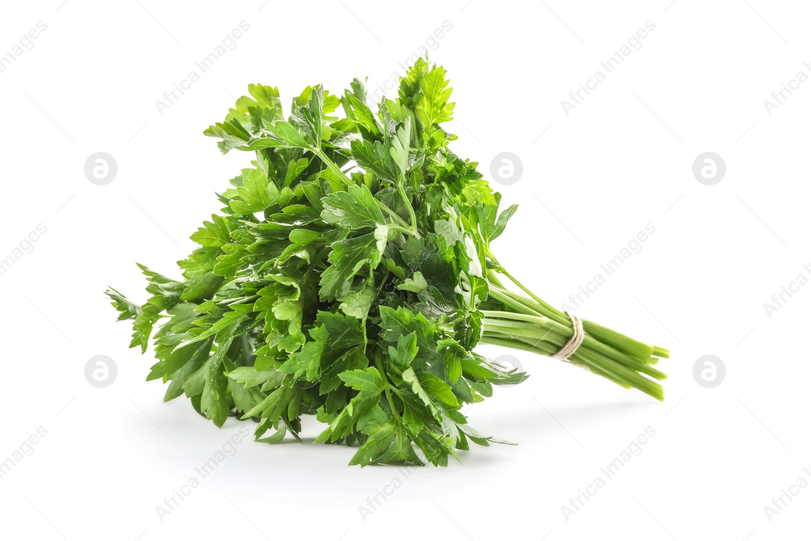 Photo of Bunch of fresh green parsley on white background