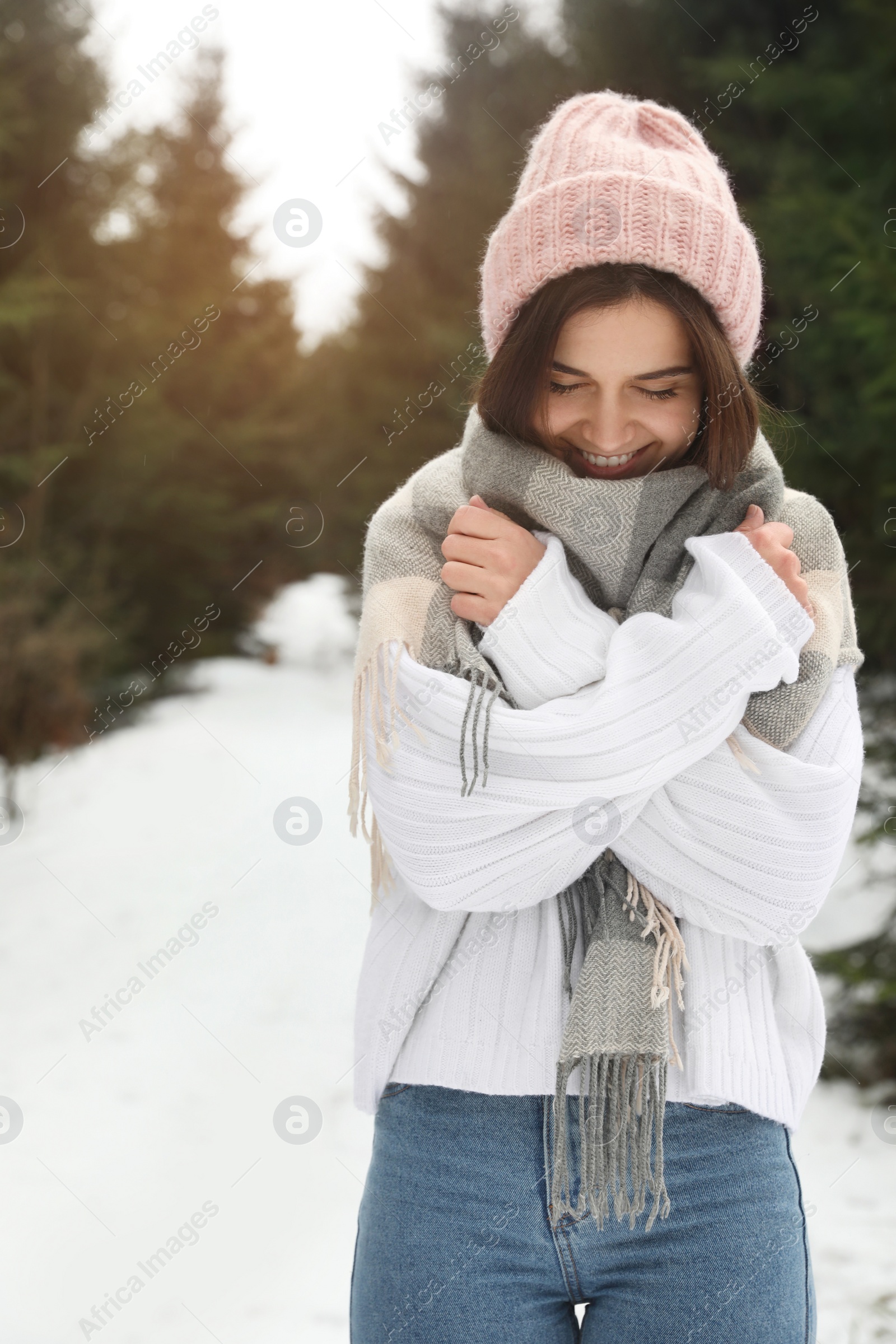 Photo of Young woman in snowy conifer forest. Winter vacation