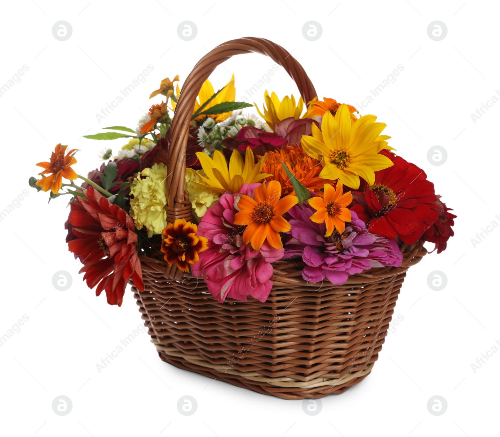 Photo of Beautiful wild flowers in wicker basket isolated on white