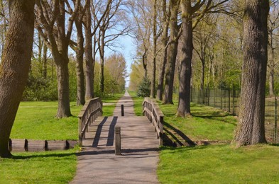 Photo of Beautiful park with wooden bridge and trees. Picturesque spring landscape