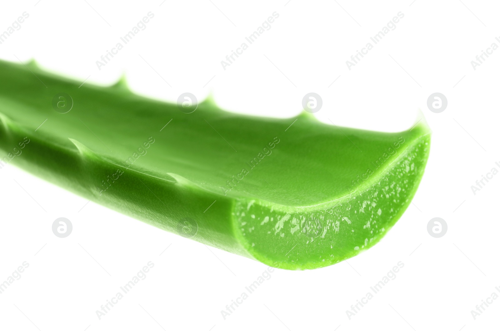 Photo of Fresh aloe vera leaf on white background