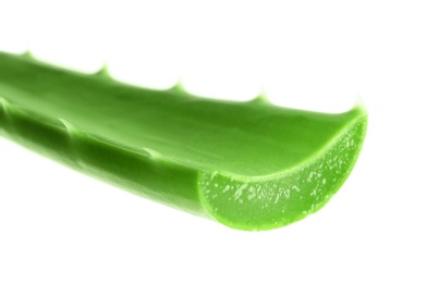 Photo of Fresh aloe vera leaf on white background