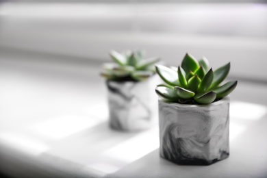 Photo of Beautiful potted succulents on white window sill. Space for text