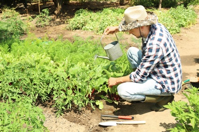 Photo of Man working in garden on sunny day