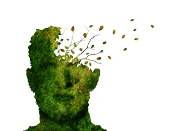 Illustration of Dementia concept.  green head shaped plant losing leaves on white background