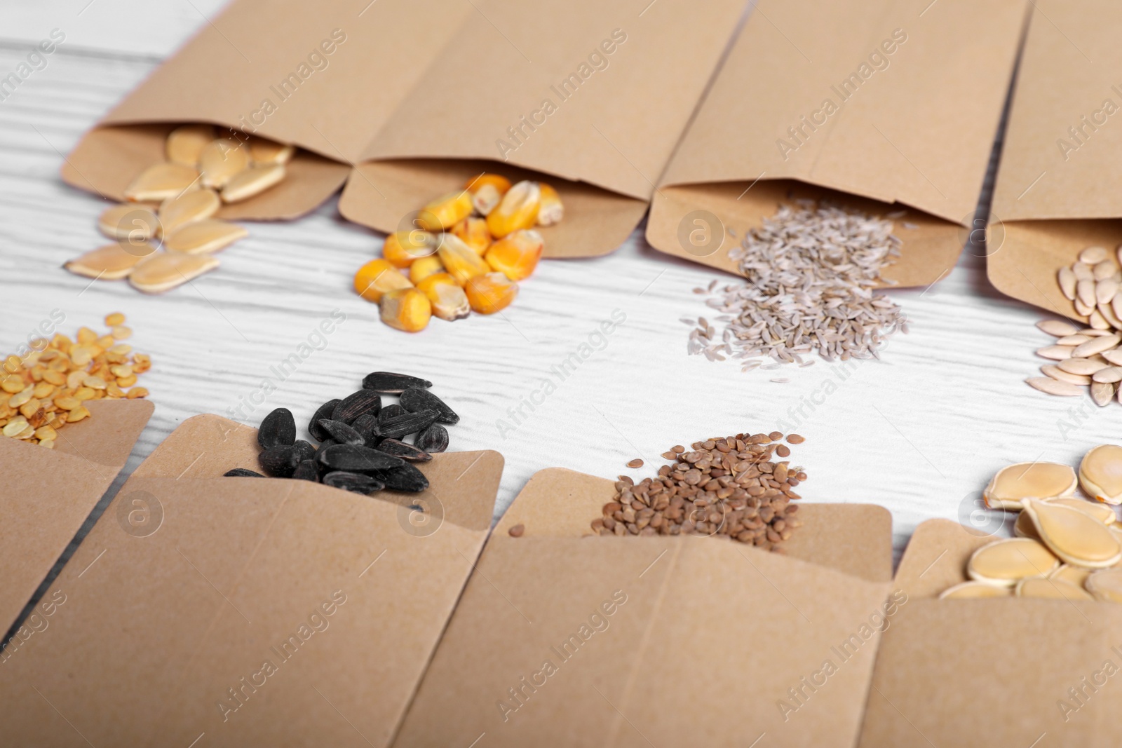 Photo of Many different vegetable seeds on white wooden table, closeup