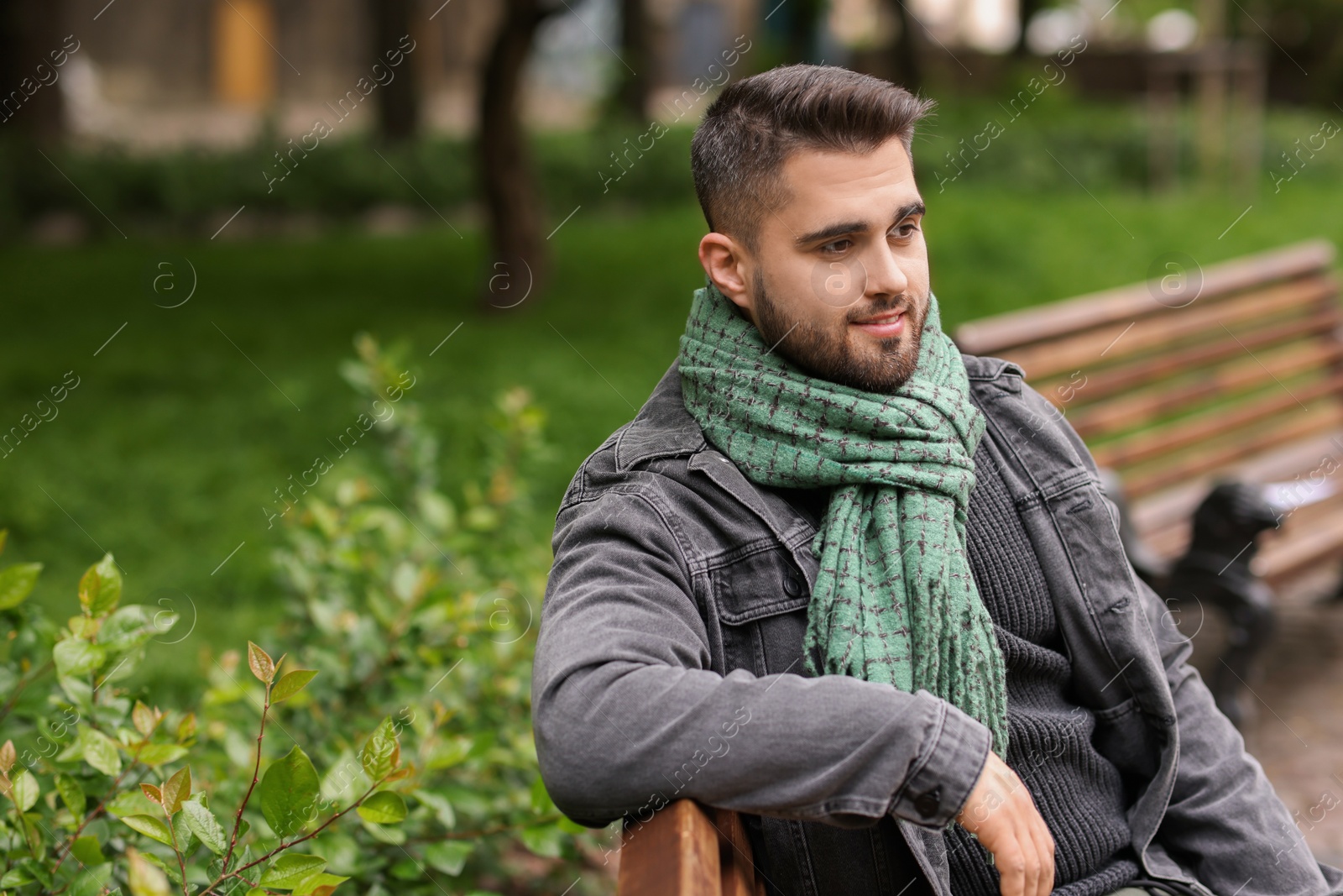 Photo of Smiling man in warm scarf on bench outdoors. Space for text