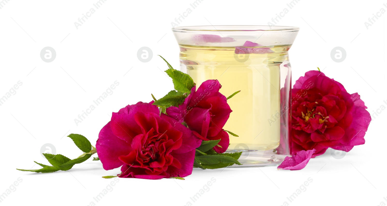 Photo of Aromatic herbal tea in glass with rose flowers isolated on white