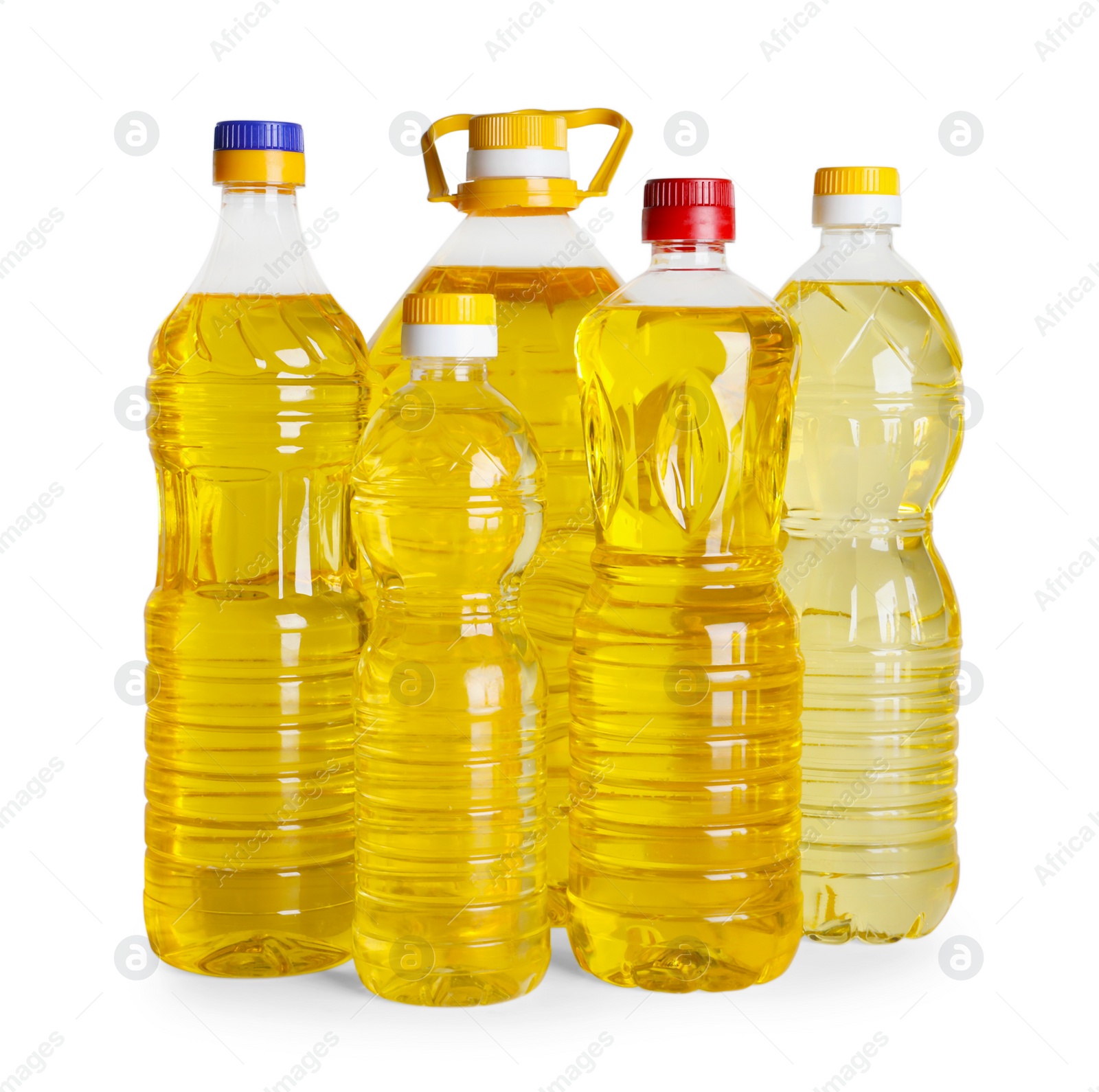 Photo of Bottles of cooking oil on white background