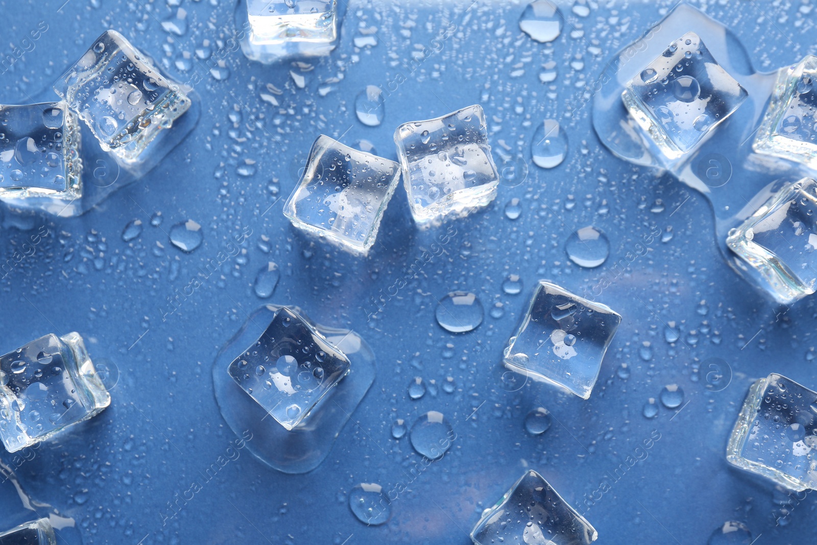 Photo of Melting ice cubes and water drops on blue background, flat lay