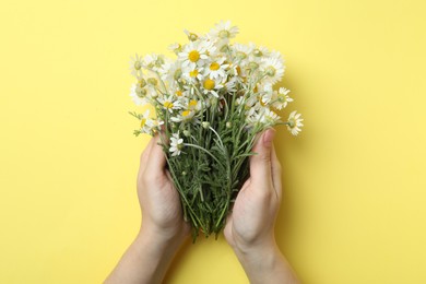 Woman holding chamomile bouquet on yellow background, top view