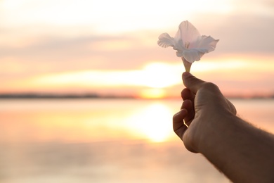 Man holding beautiful flower near river at sunset, closeup view with space for text. Nature healing power