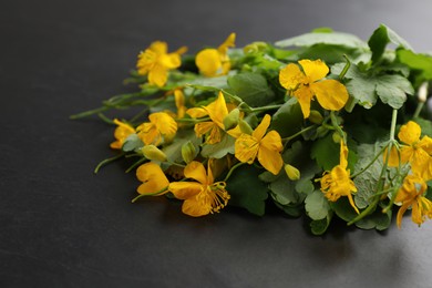 Photo of Celandine with beautiful yellow flowers on black table, closeup