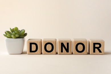 Wooden cubes with word Donor and potted plant on beige background