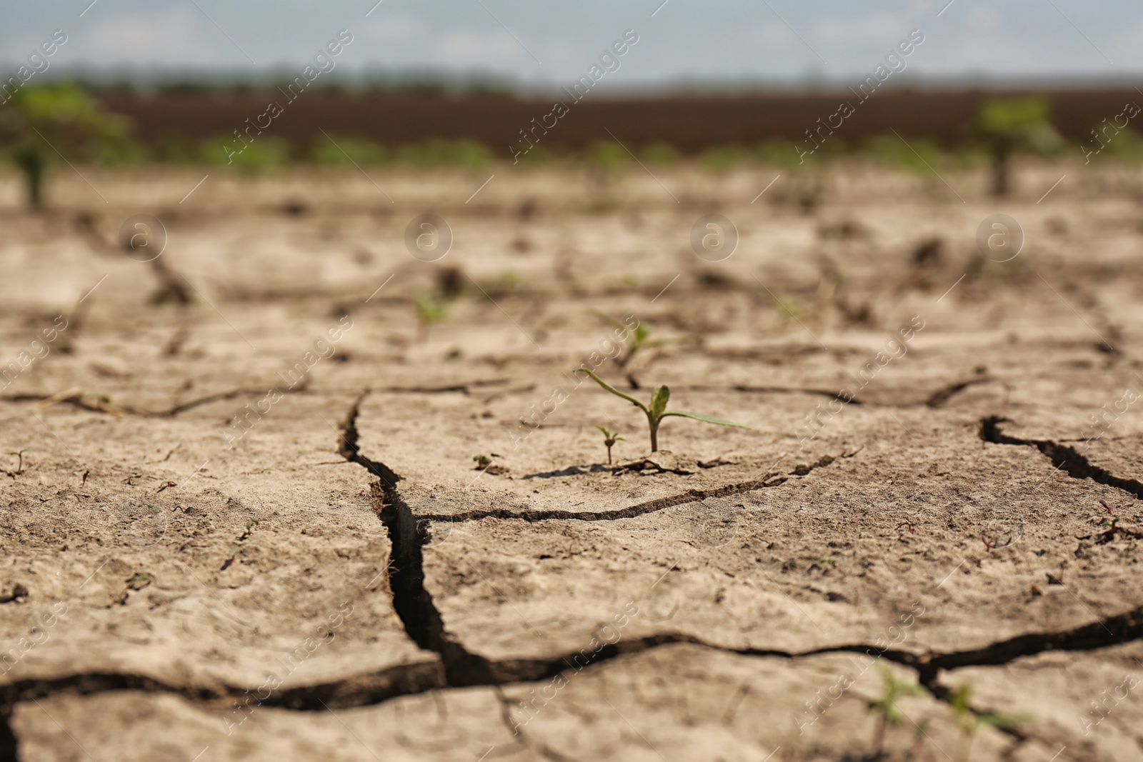 Photo of View of cracked ground surface on sunny day