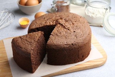 Photo of Cut chocolate sponge cake and ingredients on light table, closeup