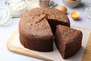 Photo of Cut chocolate sponge cake and ingredients on light table, closeup