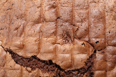 Photo of Tasty chocolate sponge cake as background, closeup