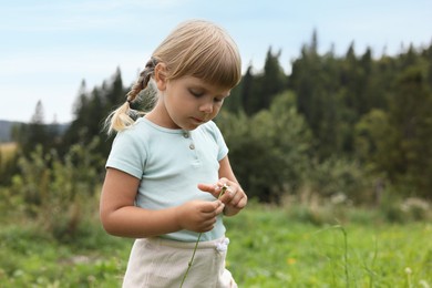 Cute little girl with flower at meadow, space for text. Child enjoying beautiful nature