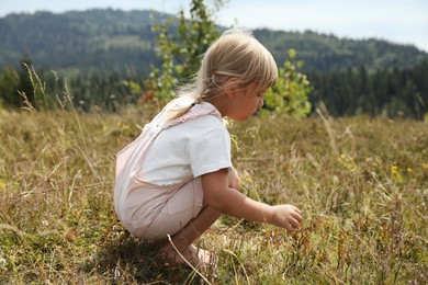 Photo of Cute little girl picking flowers at meadow. Child enjoying beautiful nature