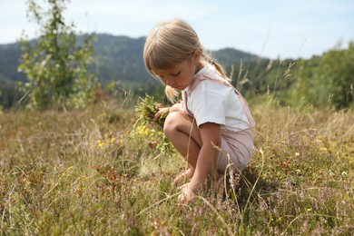 Photo of Cute little girl picking flowers at meadow. Child enjoying beautiful nature