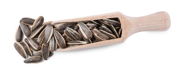 Sunflower seeds in wooden scoop isolated on white, top view