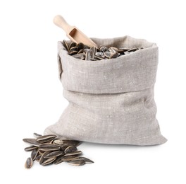 Sunflower seeds in burlap sack and wooden scoop isolated on white