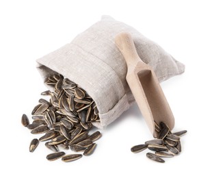 Sunflower seeds, overturned burlap sack and wooden scoop isolated on white