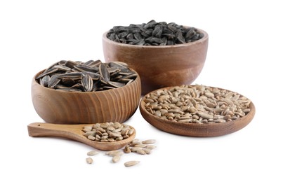 Different sunflower seeds in bowls and wooden spoon isolated on white