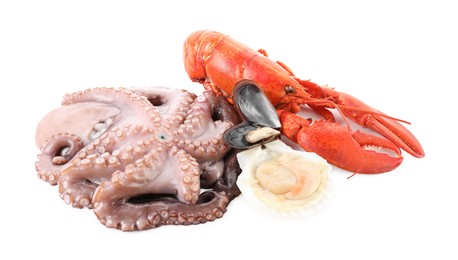 Photo of Fresh raw octopus and different sea food isolated on white