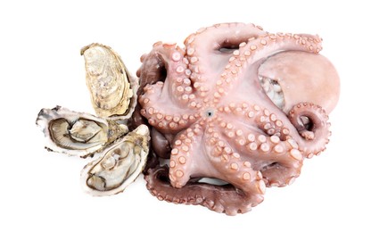 Photo of Fresh raw octopus and oysters isolated on white, top view. Sea food