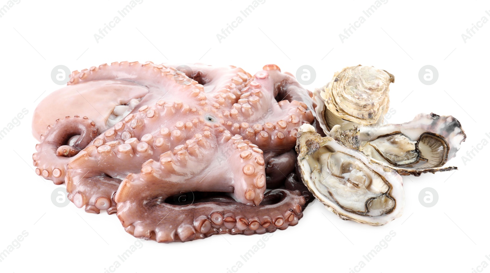 Photo of Fresh raw octopus and different sea food isolated on white