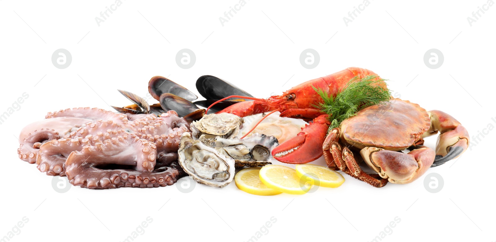 Photo of Fresh raw octopus and different sea food isolated on white