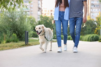 Couple walking with cute Golden Retriever dog outdoors, closeup. Space for text