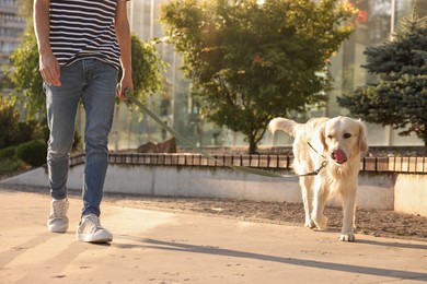 Photo of Owner walking with cute Golden Retriever dog outdoors on sunny day, closeup