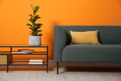 Stylish sofa with cushion and plant on coffee table near orange wall